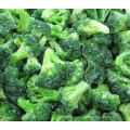 Frozen IQF Broccoli Floret and Cut